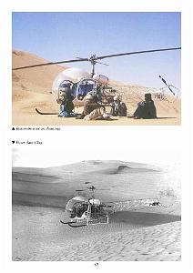 611 GYRAFRIQUE_000071